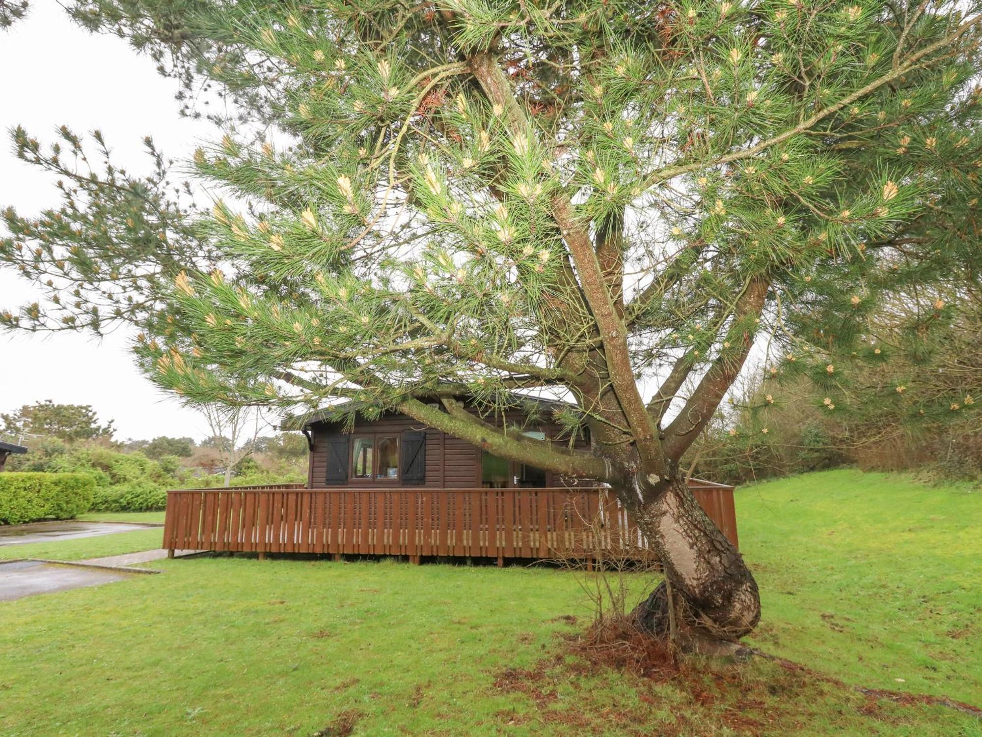 16 Amber Wood Lodge Lymington Bagian luar foto