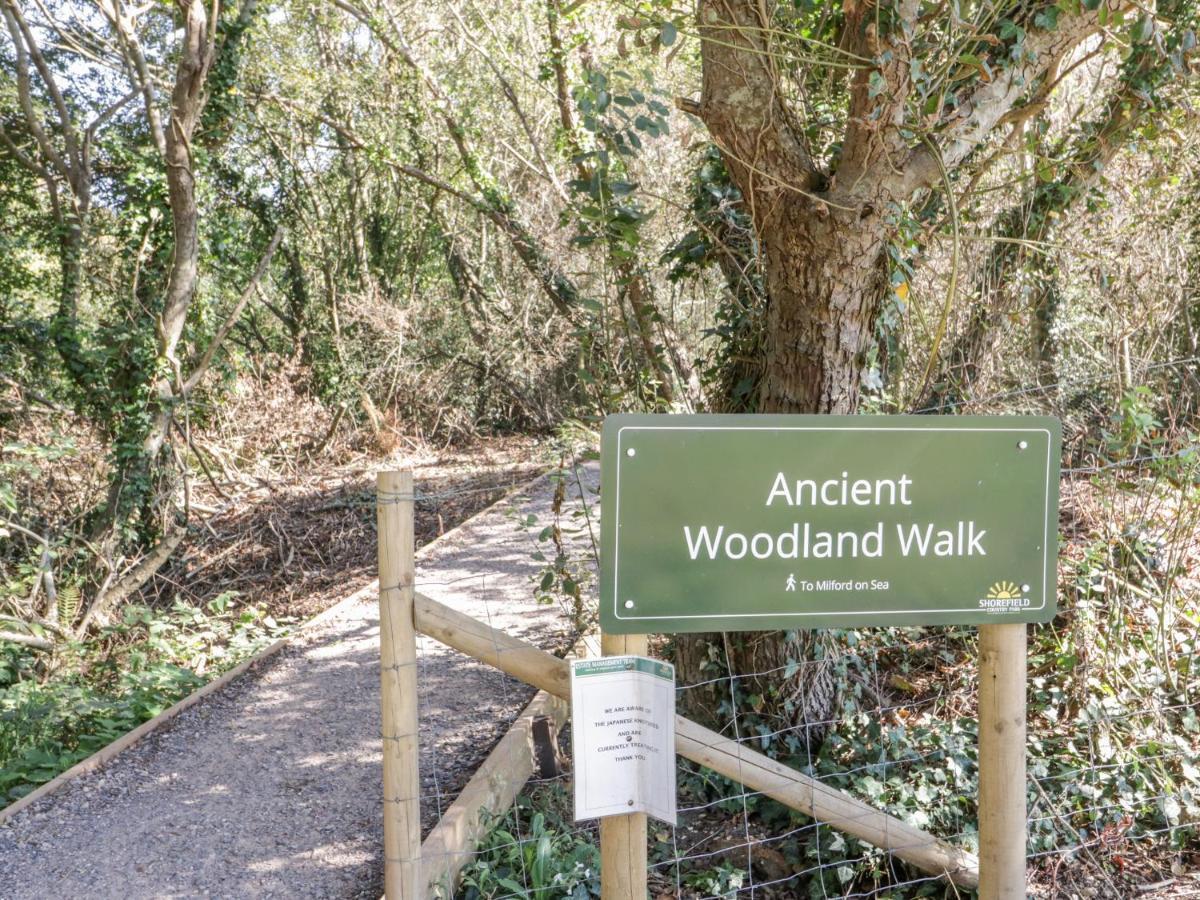 16 Amber Wood Lodge Lymington Bagian luar foto